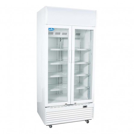 Fechada - Refrigerador / Geladeira Expositora Porta de Vidro 600 Lts (Visa Cooler) - LG-600